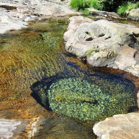 Casa Do Tanque Camélias De Basto * Castelbuono