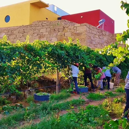 Gospodarstwo wiejskie Casa Do Tanque Camelias De Basto