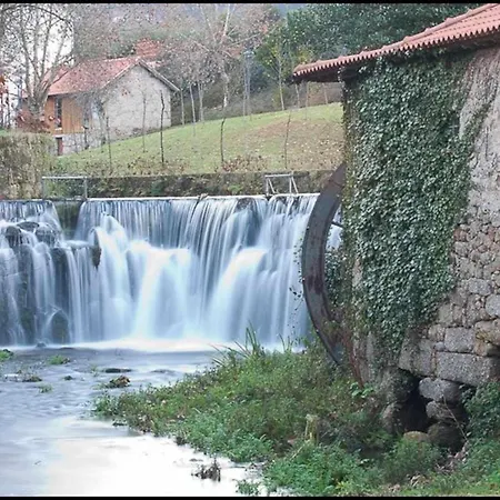 Séjour à la campagne Casa Do Tanque Camélias De Basto *