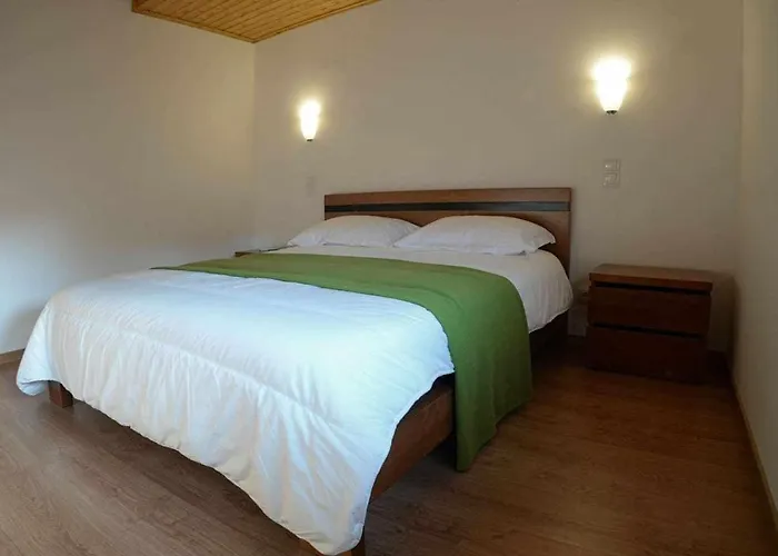 Casa Do Tanque Camelias De Basto * 세로리코데바스토