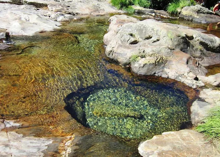 Casa Do Tanque Camelias De Basto * 세로리코데바스토