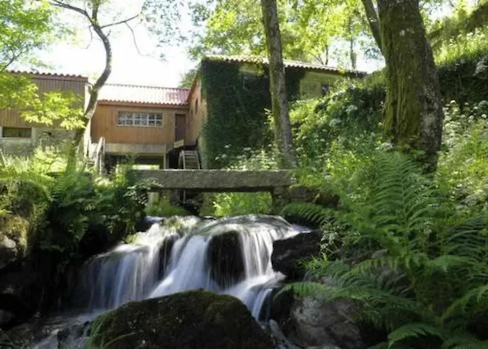 Casa Do Tanque Camelias De Basto Летний дом