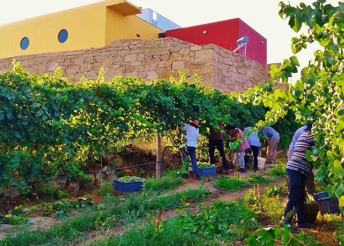 Летний дом Casa Do Tanque Camelias De Basto