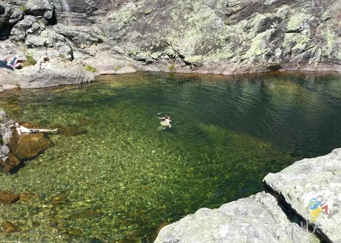 Casa Do Tanque Camelias De Basto Летний дом Селорику-ди-Башту