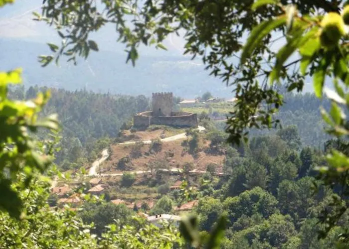 컨트리하우스 Casa Do Tanque Camelias De Basto 세로리코데바스토